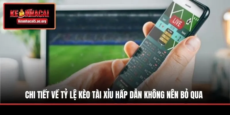 Chi tiết về tỷ lệ kèo Tài Xỉu hấp dẫn không nên bỏ qua