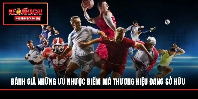 Đánh giá những ưu nhược điểm mà thương hiệu đang sở hữu