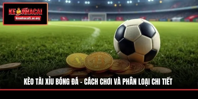 Kèo Tài Xỉu Bóng Đá - Cách Chơi Và Phân Loại Chi Tiết