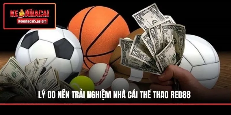 Lý do nên trải nghiệm nhà cái thể thao Red88