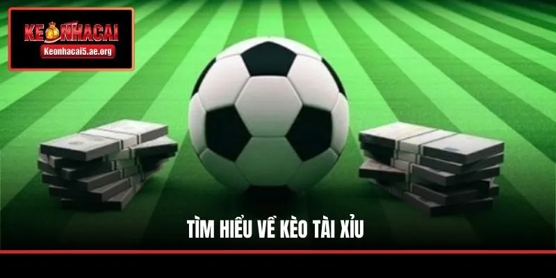 Tìm hiểu về kèo tài xỉu