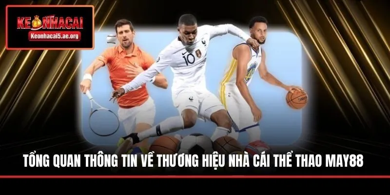 Tổng quan thông tin về thương hiệu nhà cái thể thao May88
